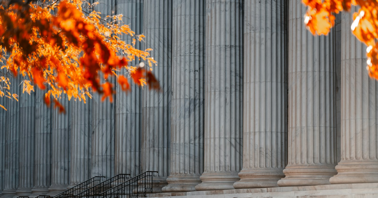 Marble courthouse columns and steps framed by autumn leaves